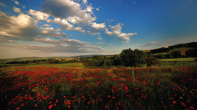 https://appiairpina.it/wp-content/uploads/2026/05/box-venticano.jpg